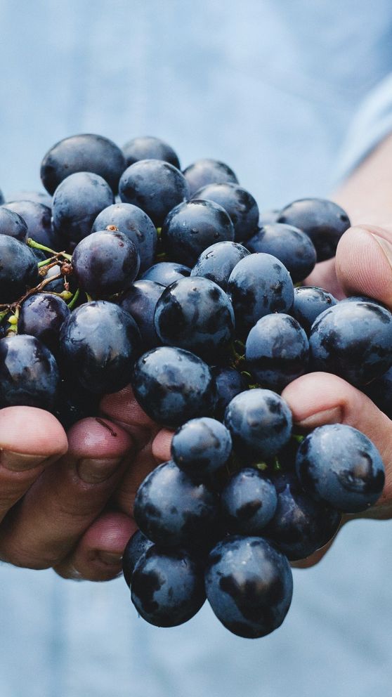 Rosé-Wein-Herstellung