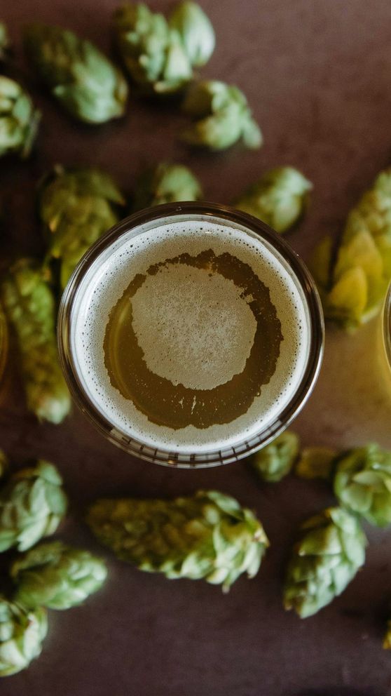 Wie wird Bier hergestellt?
